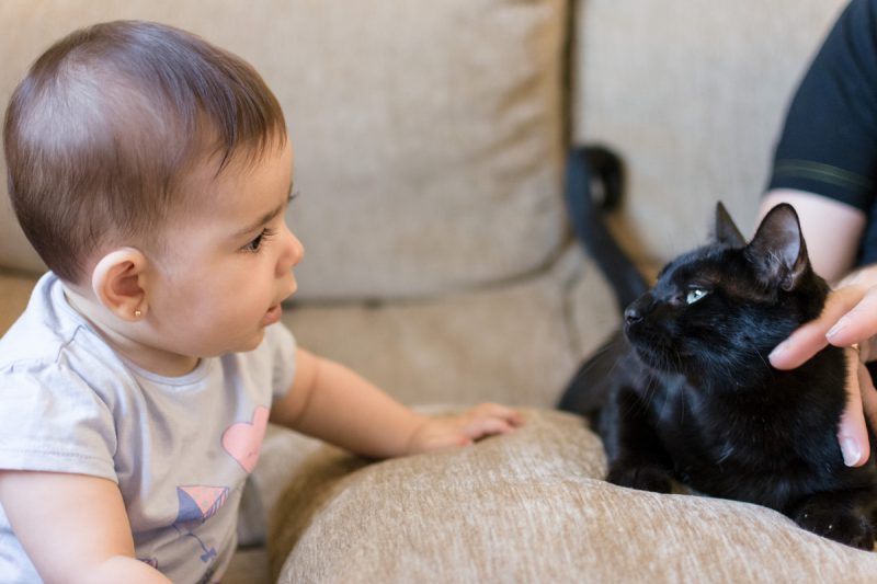 fotografia-bebe-valladolid-elsa-13-nerea-amo-fotografia