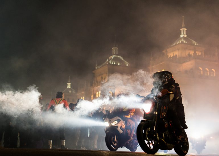 fotografia-blog-resumen-2019-pinguinos-01-nerea-amo-fotografia