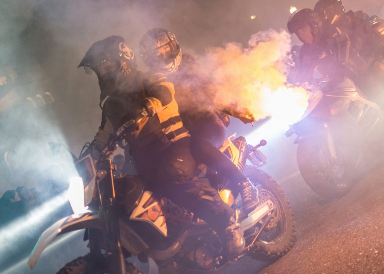 fotografia-blog-resumen-2019-pinguinos-02-nerea-amo-fotografia