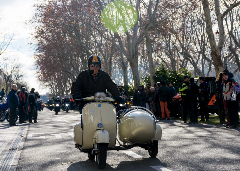 fotografia-blog-resumen-2019-pinguinos-04-nerea-amo-fotografia