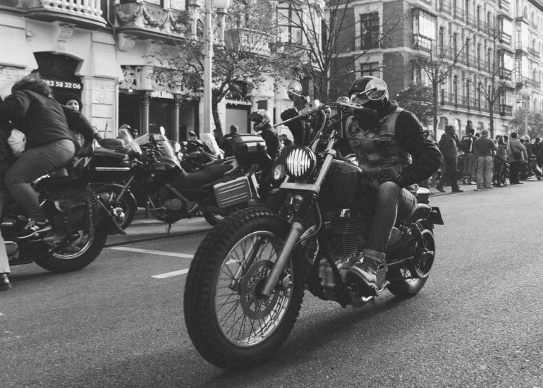 fotografia-blog-resumen-2019-pinguinos-05-nerea-amo-fotografia