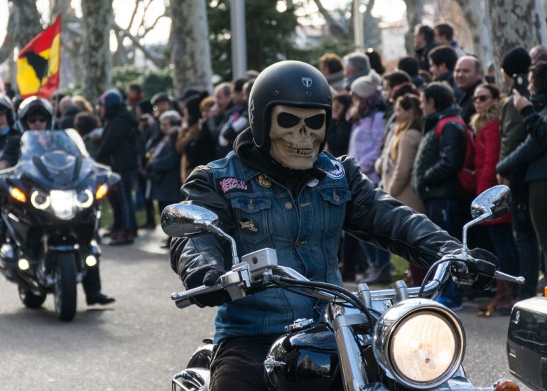 fotografia-blog-resumen-2019-pinguinos-08-nerea-amo-fotografia