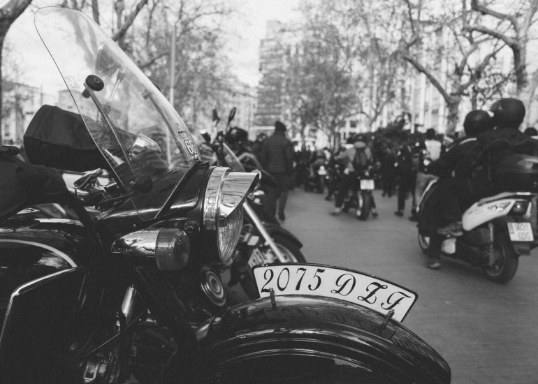 fotografia-blog-resumen-2019-pinguinos-11-nerea-amo-fotografia