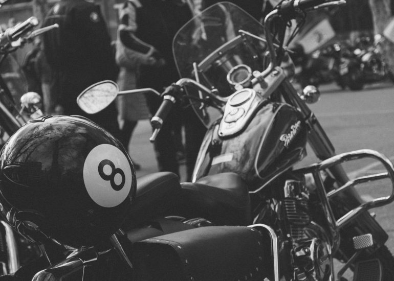 fotografia-blog-resumen-2019-pinguinos-12-nerea-amo-fotografia