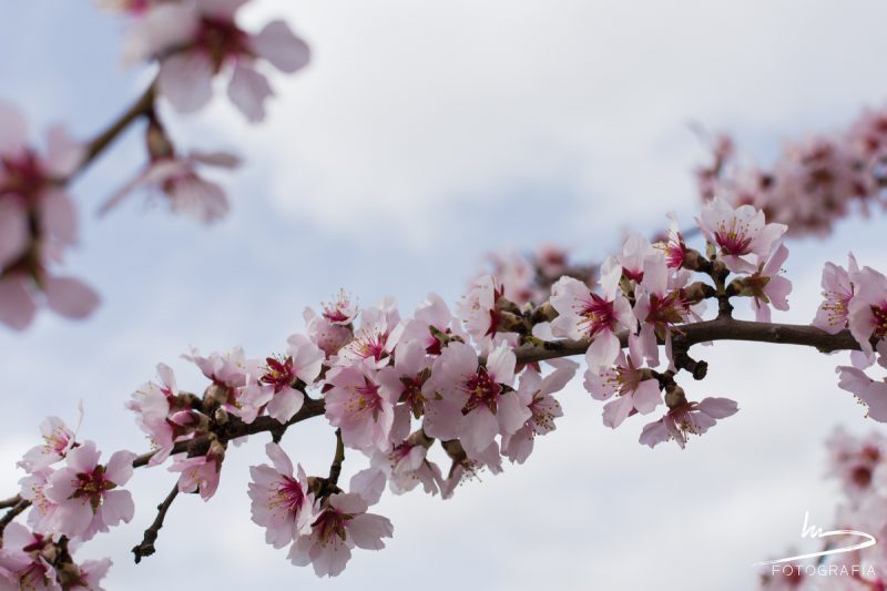 fotografia-blog-reto-fotografico-abecedario-12-nerea-amo-fotografia