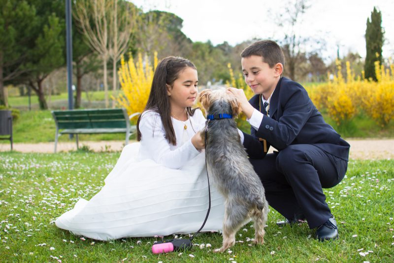 fotografia-comunion-valladolid-lucia-ricardo-04-nerea-amo-fotografia