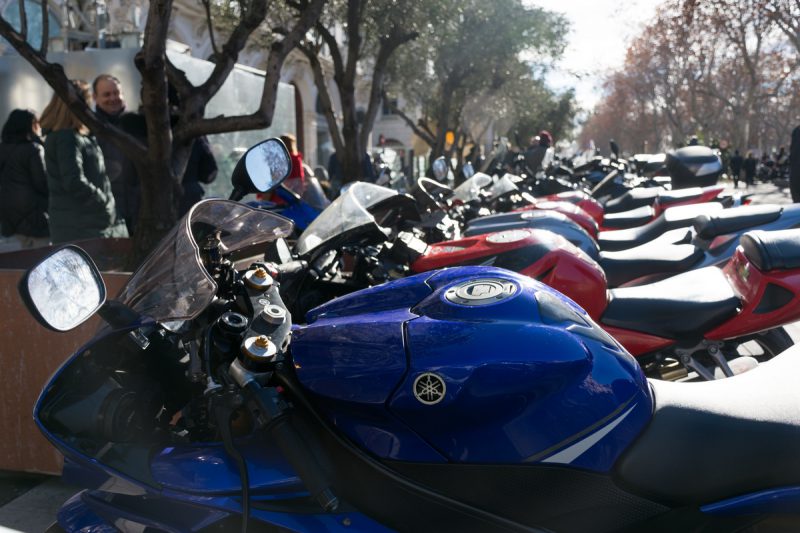 fotografia-evento-2019-pinguinos-08-nerea-amo-fotografia