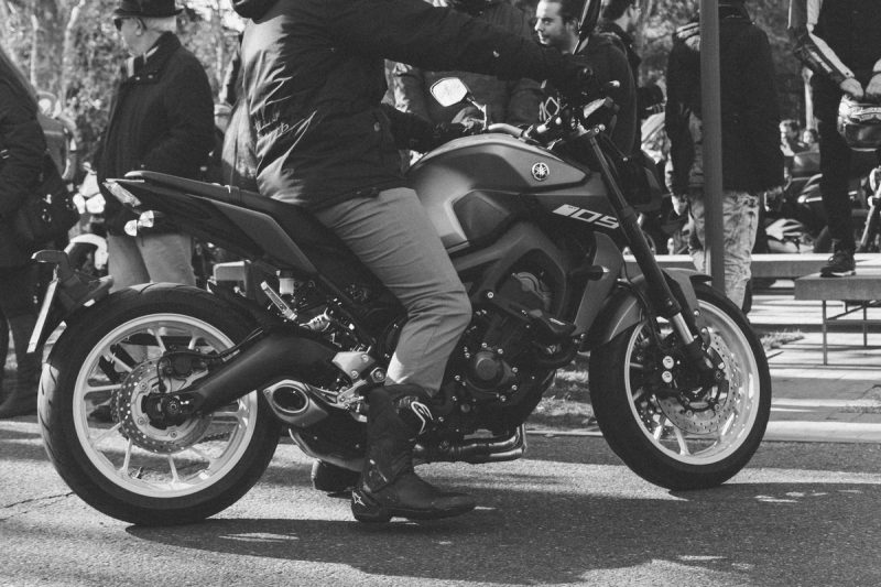 fotografia-evento-2019-pinguinos-11-nerea-amo-fotografia