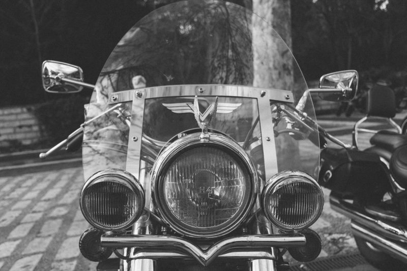 fotografia-evento-2019-pinguinos-22-nerea-amo-fotografia