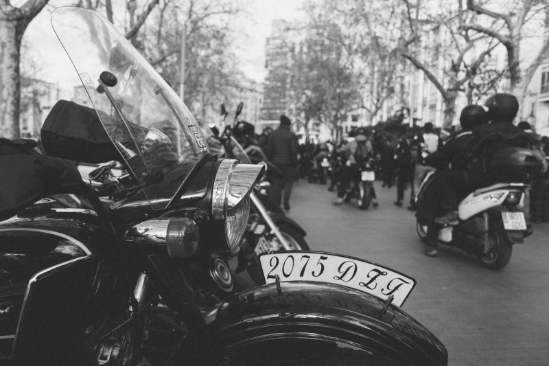 fotografia-evento-2019-pinguinos-23-nerea-amo-fotografia