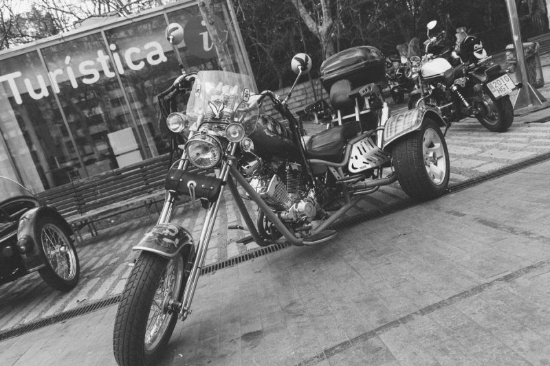 fotografia-evento-2019-pinguinos-25-nerea-amo-fotografia