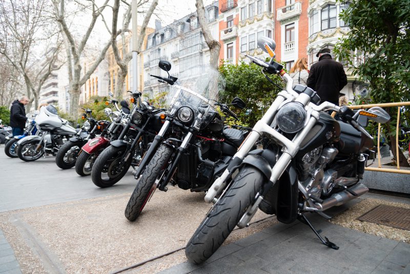 fotografia-evento-2020-pinguinos-23-nerea-amo-fotografia