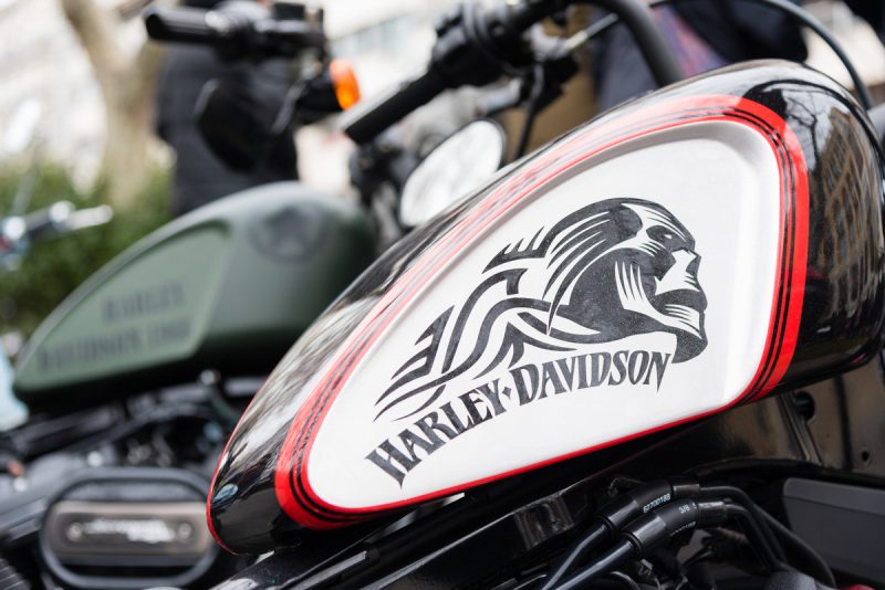 fotografia-evento-2020-pinguinos-26-nerea-amo-fotografia