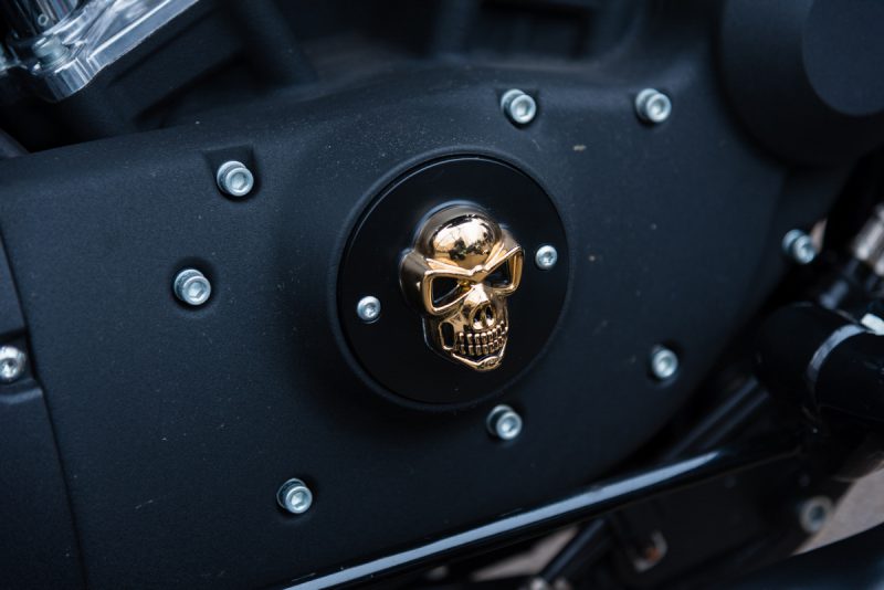 fotografia-evento-2020-pinguinos-33-nerea-amo-fotografia