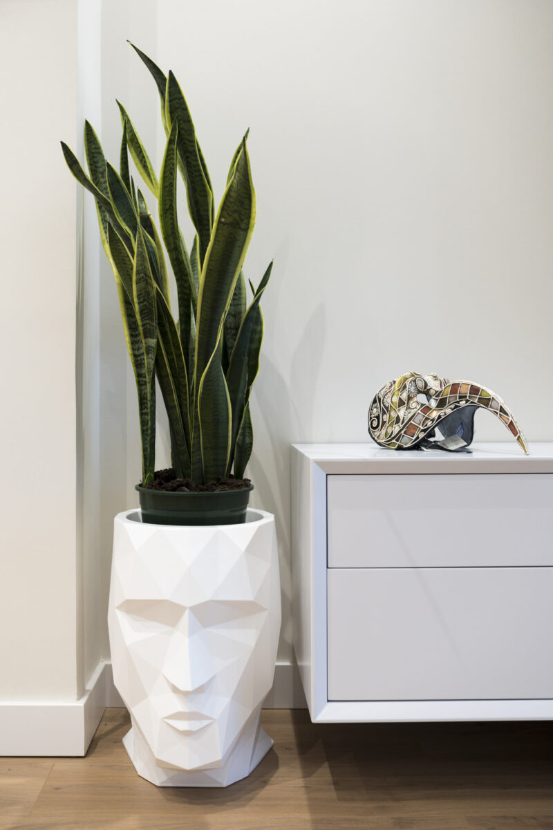 fotografia-interiorismo-valladolid-salon-con-personalidad-19-nerea-amo-fotografia